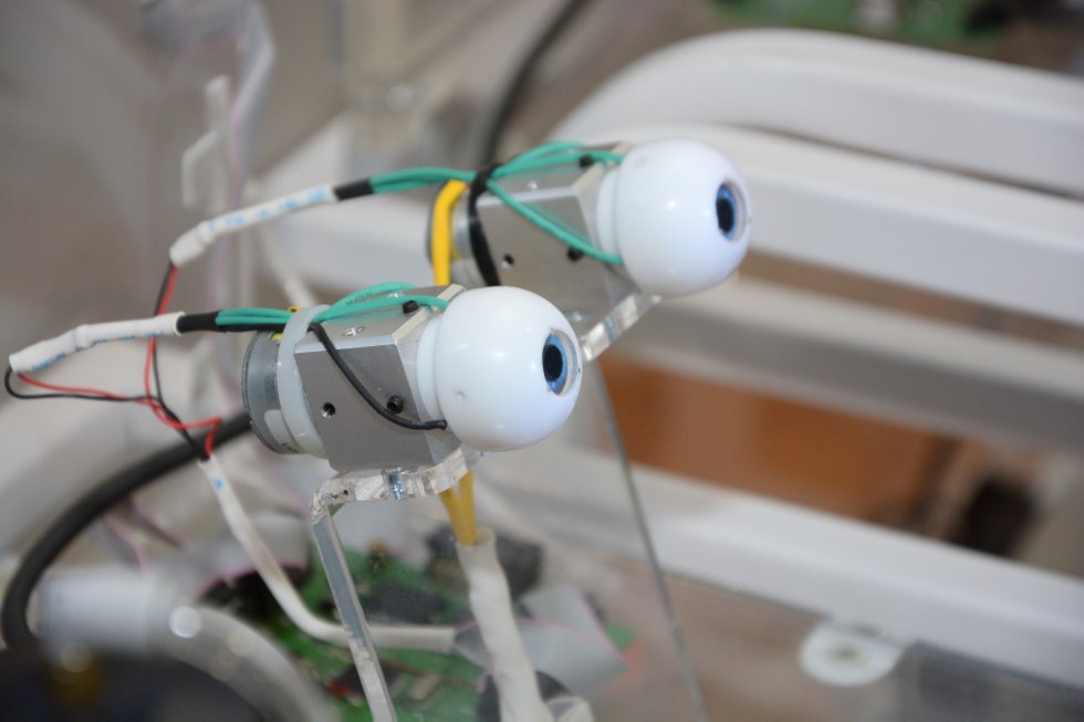 ����� �������������� � ������������� ��������