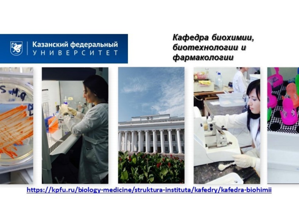 ������� ��������