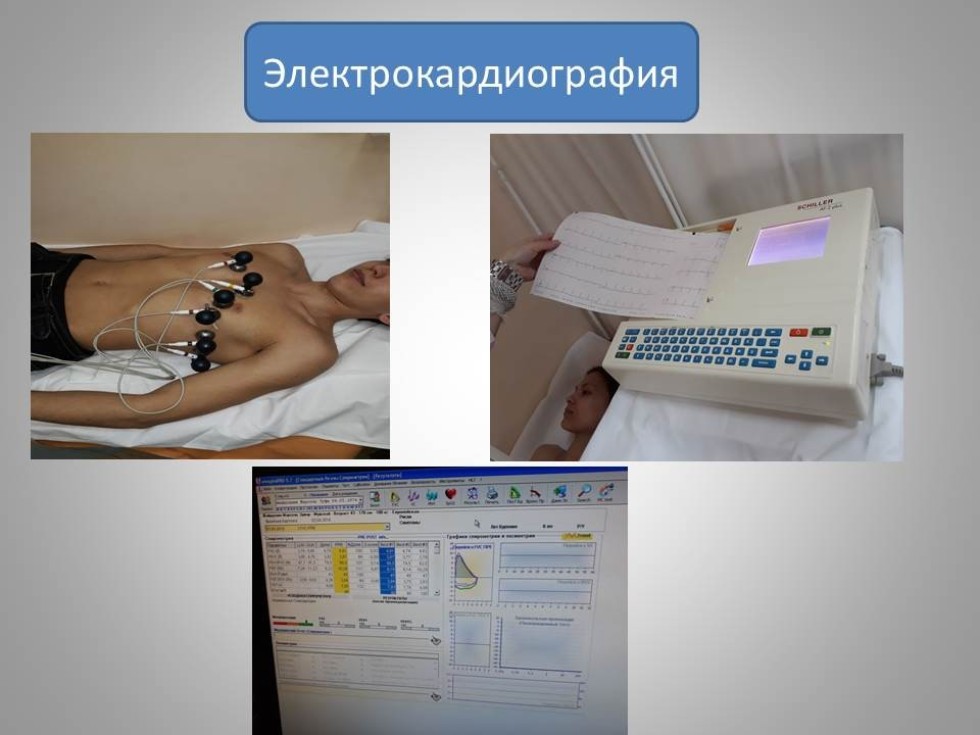 06.04.01 ��������, ������������ ��������� '��������������� ������ �������������� �����������'. ������������� �������: ������� ������������ ��������: 2 ����. ����� ��������: �����