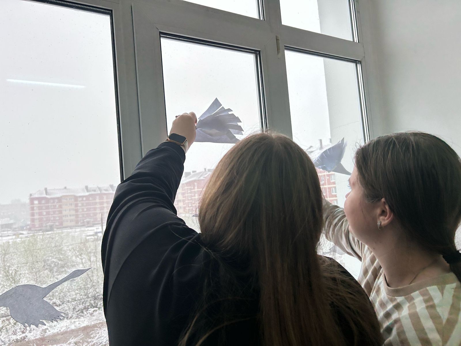 �������� ��������� ������ ���������� ,���������� �������� ���