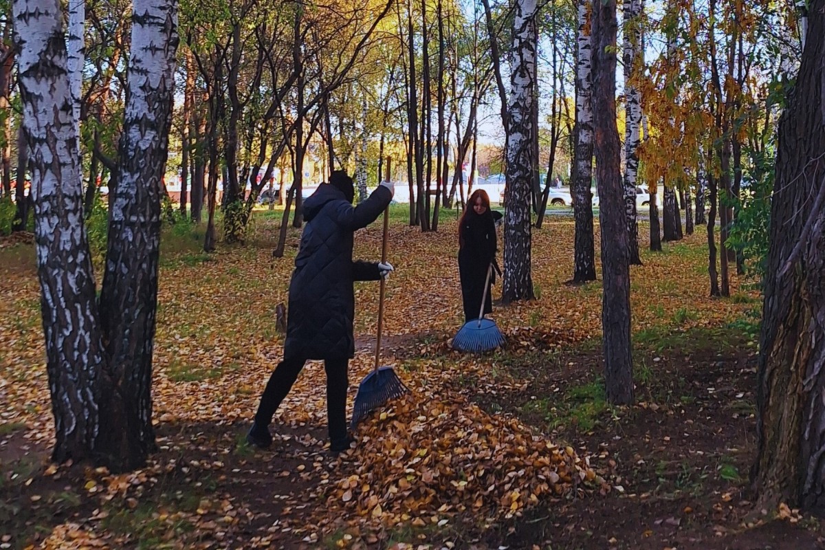 ���� ����� �� ������!