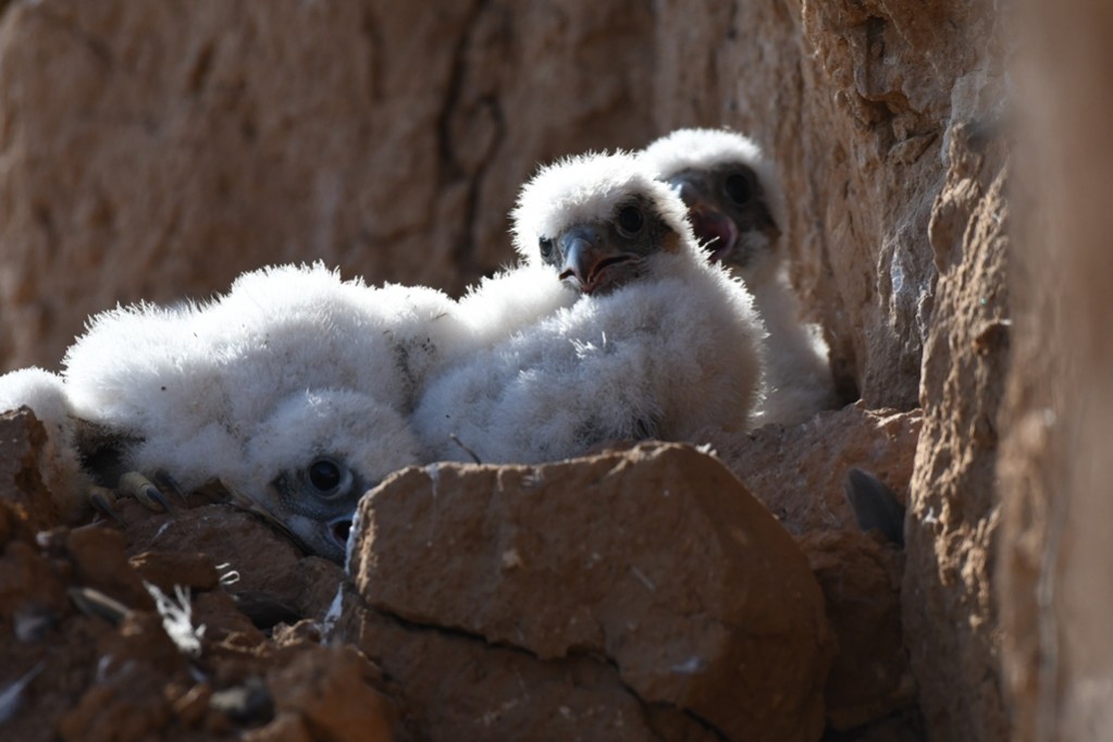 � ������� ������ ���� ��� ��������� ������ ������������������ ����� '��������' ������� ���������� ����������� ������, ��������� � ������� ����� ���������� ��������� � ���������� ��������� ����� ����, ����� ��� �����-��������� � ������.