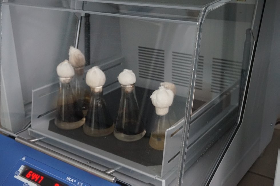 ������-����������������� ������