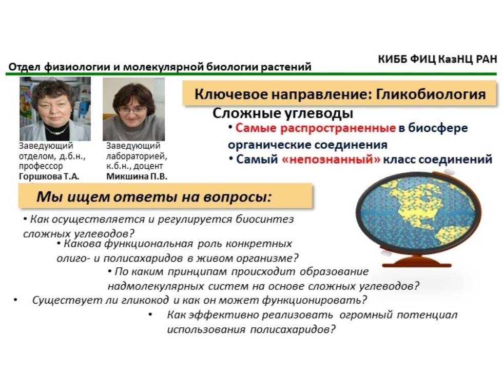 ������� ��������