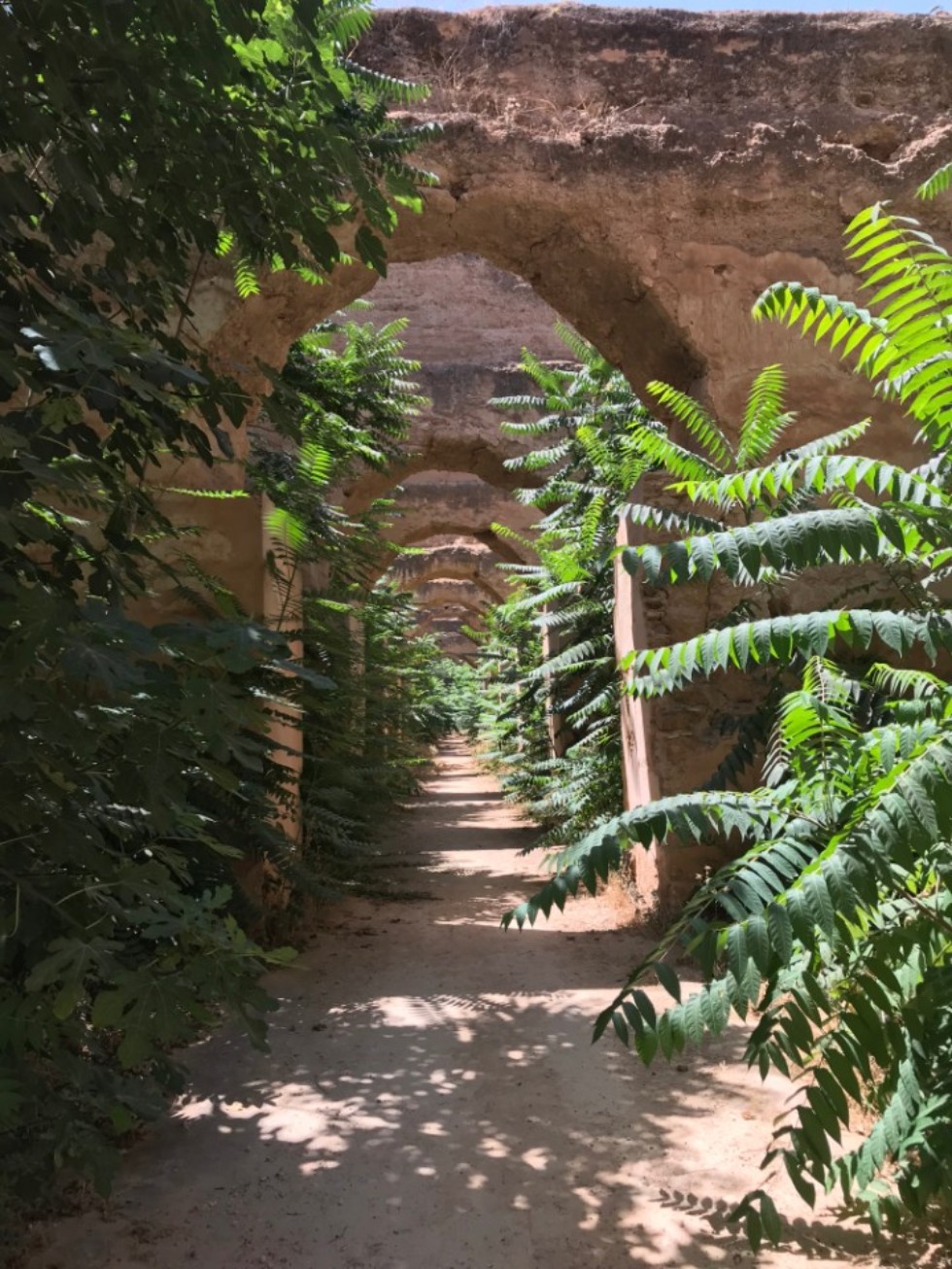 ������������� ������������ ��������� �� ��������� �����