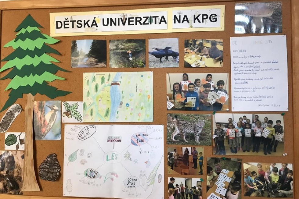 ������������� ����������� ��������� ��� ��������� ����� � �������-������� �����������