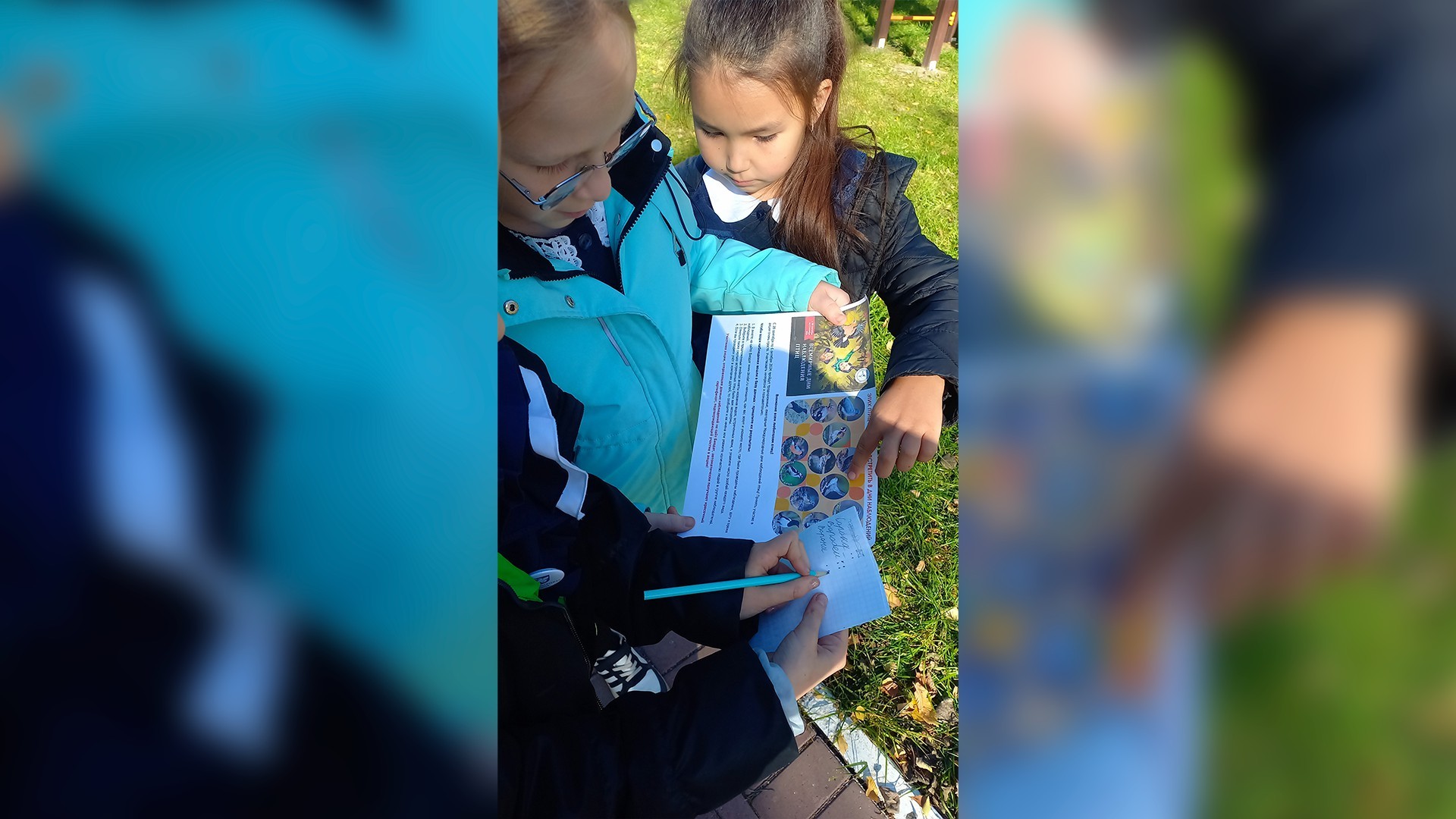 Международные дни наблюдения птиц 2024 Международные дни наблюдения птиц 2024