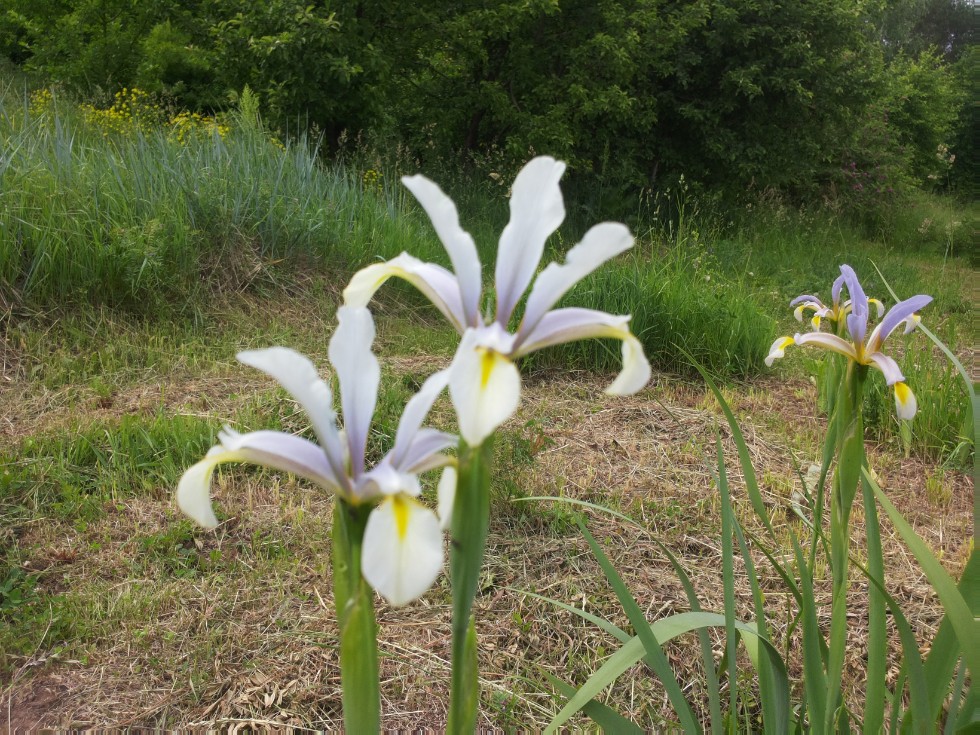 ���������� ��������