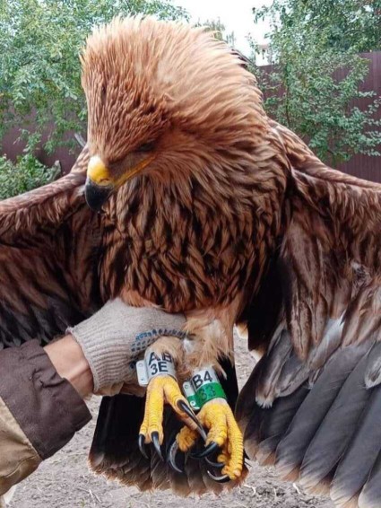 ������ ����������� ��������� ���������� ������������ ������������ ����� ������������ �������� '������� �����' �������� '��������'