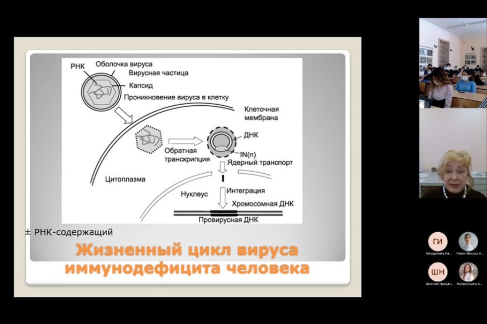 ���� �������� ������