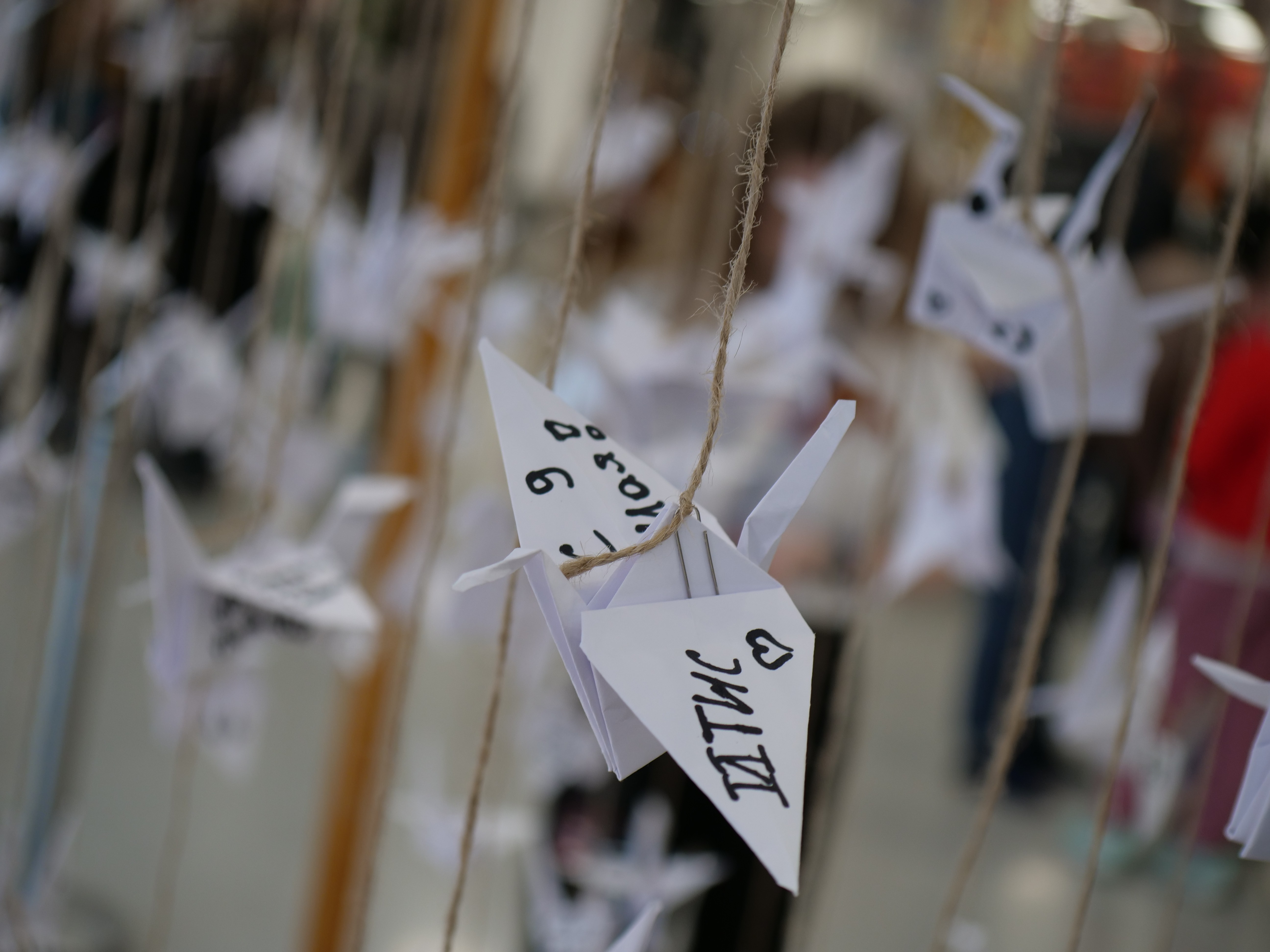 '������� ������' ���� ������ ������ � ��-����� ����� ������ �������