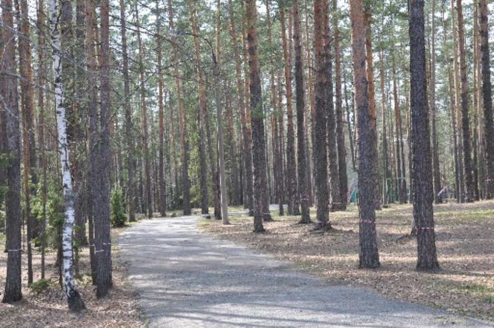 '�����' - ������� ��������������� ������ ��������� ������, ���������� � �������� ���������� �� ������ ����� ����� �� 7 �� 18 ���.