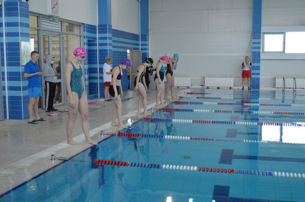 � �������� ���� - �������� ���