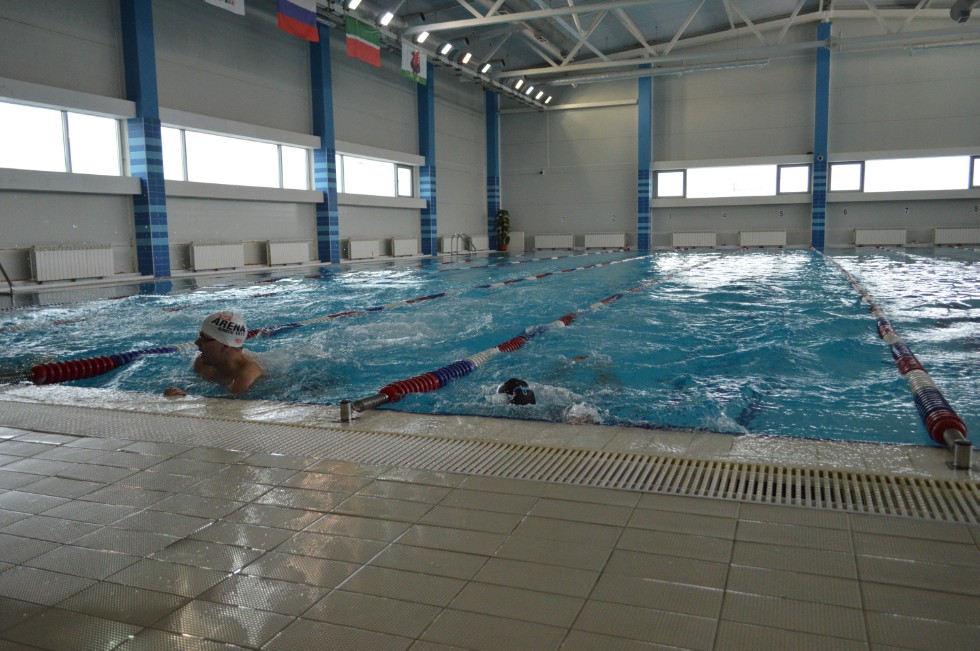 � �������� ���� - �������� ���