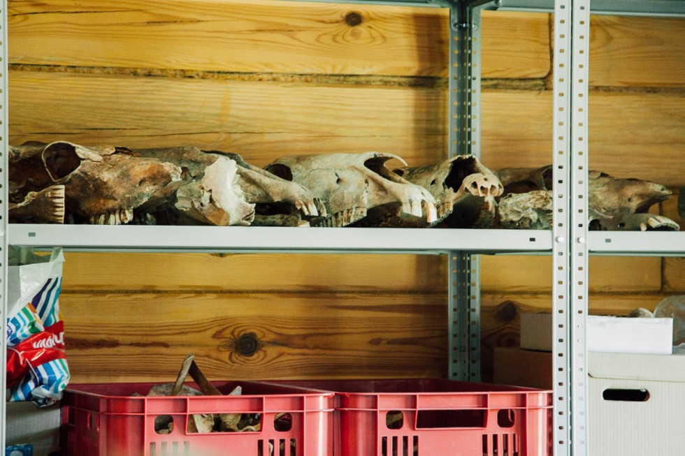 ��������