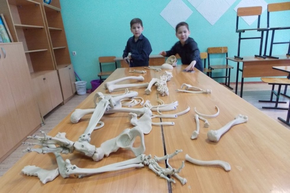 '������ �����' ��� ���������� � ���������