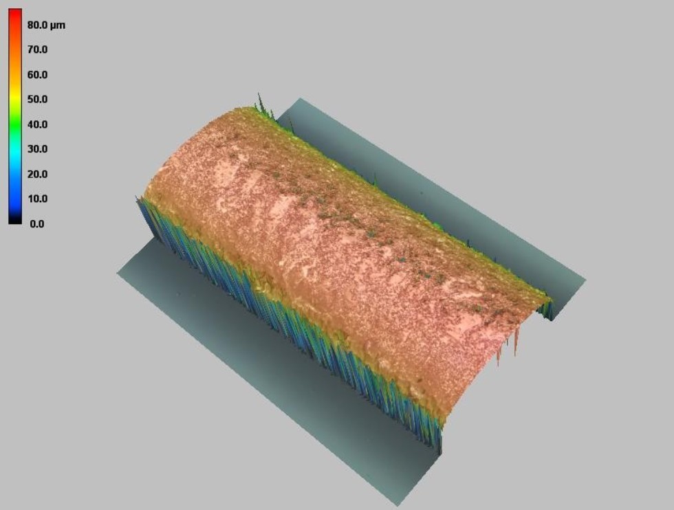 Hair surface engineering to be advanced by nano vehicles ,IFMB, hair, nano particle, self-assembly