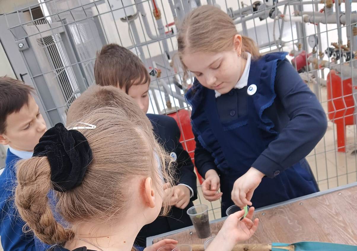 Катарантусы и нимфеи: школьники начали новый проект в теплице 'Университетской' школы Катарантусы и нимфеи: школьники начали новый проект в теплице 'Университетской' школы