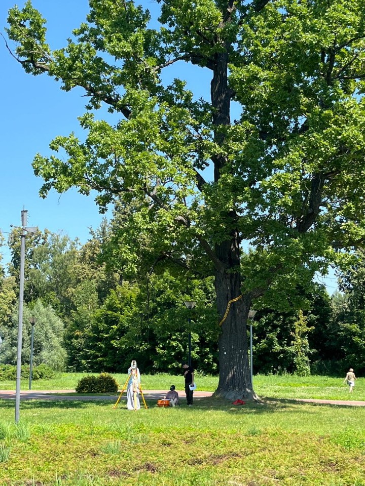 �������� � ���������� ������������ ��. �.�. ������������ ,������ ��������, ������� ������ �����, ��������� ������ �����������