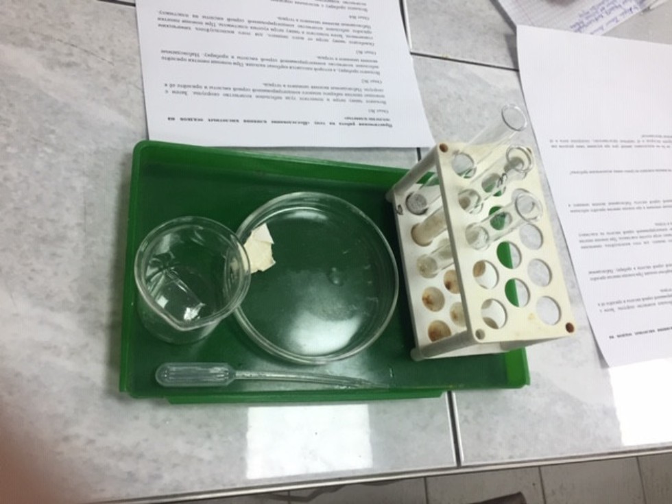 ����� ������-������� ��� ������� �������� �����