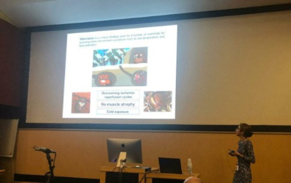 Laboratory employee made a presentation at the international conference on the study of mammalian genomes ,extreme biology, mammalian genome conference, IMGC 2019