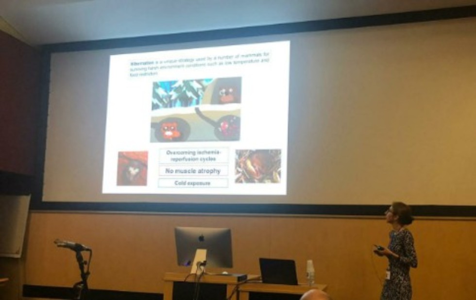 Laboratory employee made a presentation at the international conference on the study of mammalian genomes Laboratory employee made a presentation at the international conference on the study of mammalian genomes