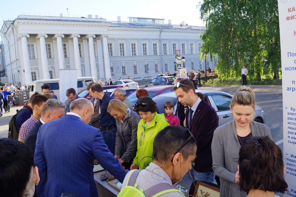 ���� ����� - 2018