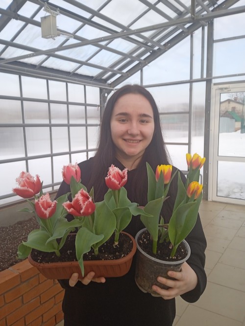 ��������, ���������� ������ ������