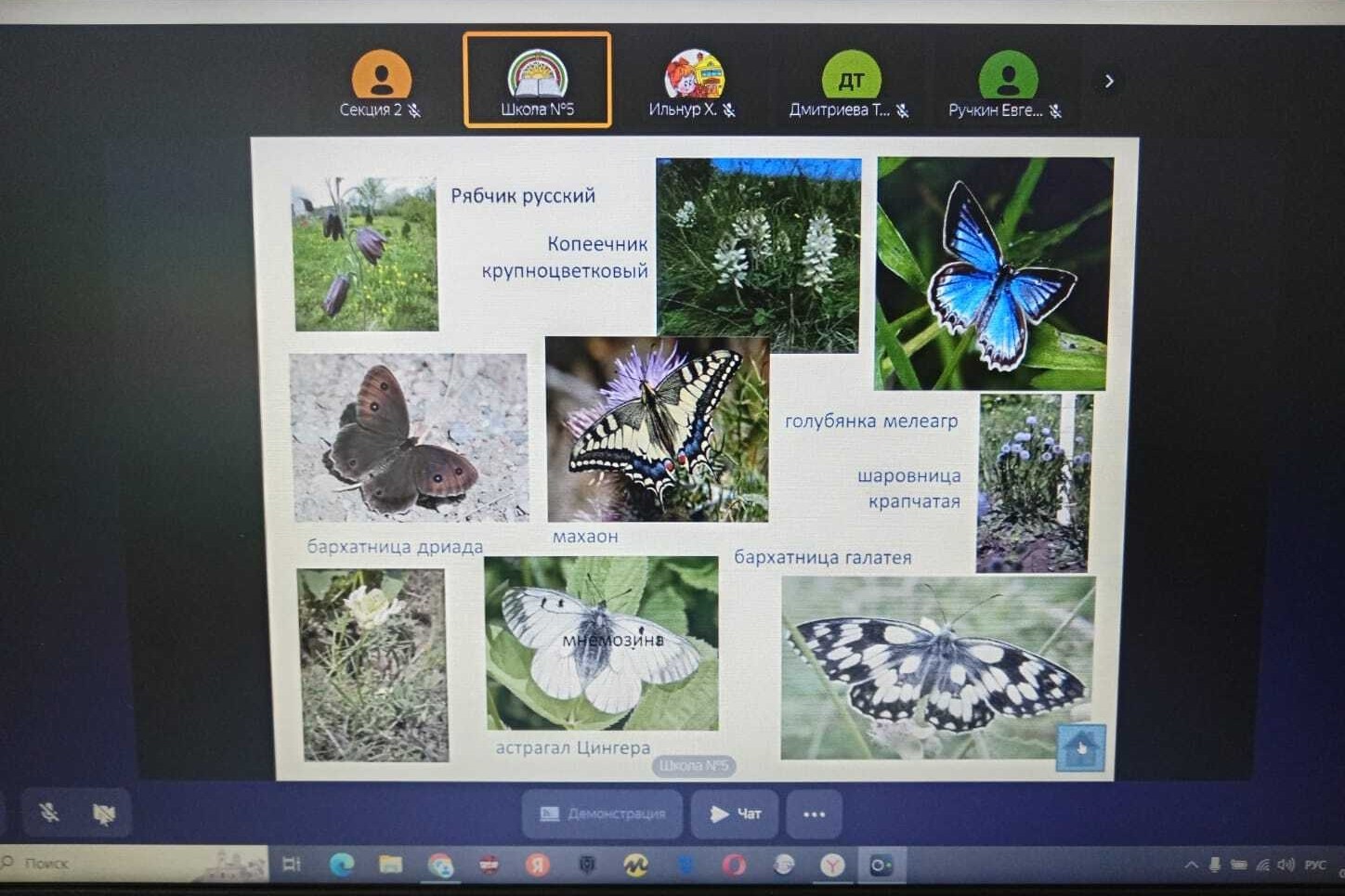 ������������ ������-������������ ����������� ���������� ���������� ���� �������������� �� ����������, �������� � ��������