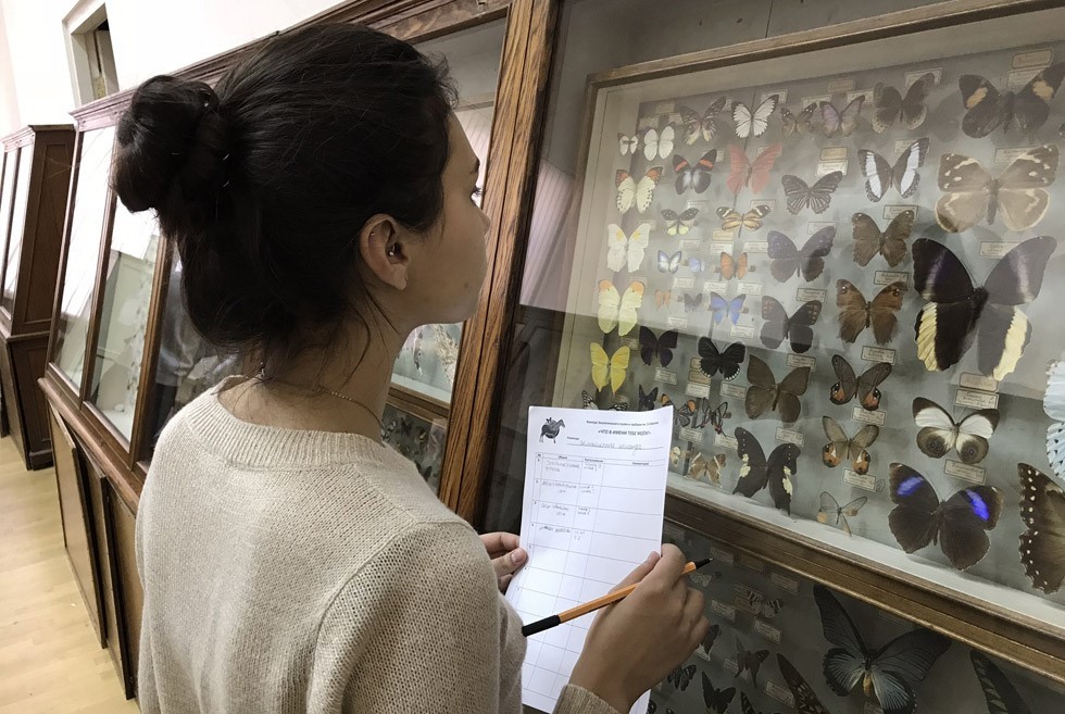 Конкурс-квест Конкурс-квест