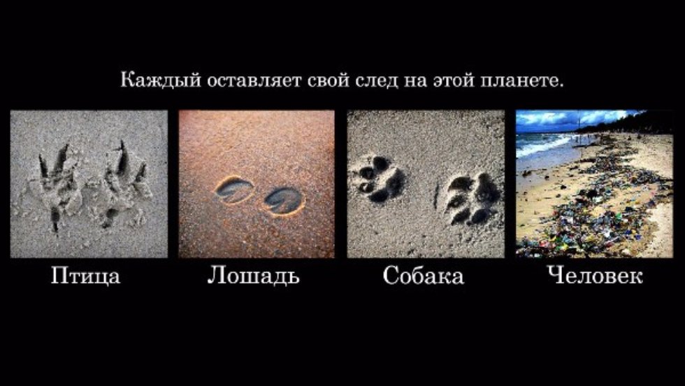 ������� '���������� ������� 2016'