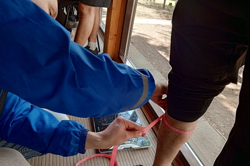 ���������� ����������� �������������������� ������� ���������-�����������