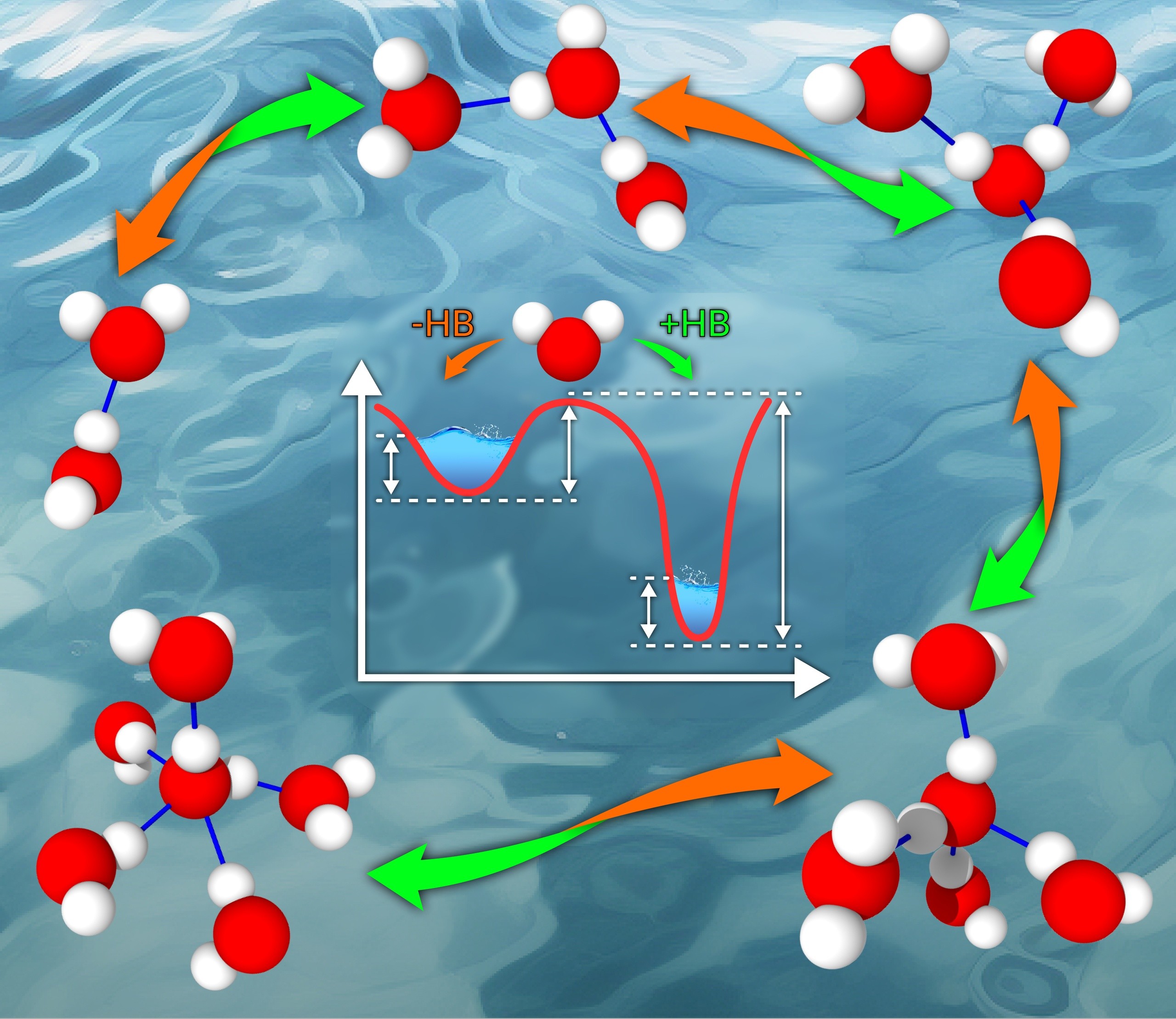       The Journal of Physical Chemistry B (  Q1)