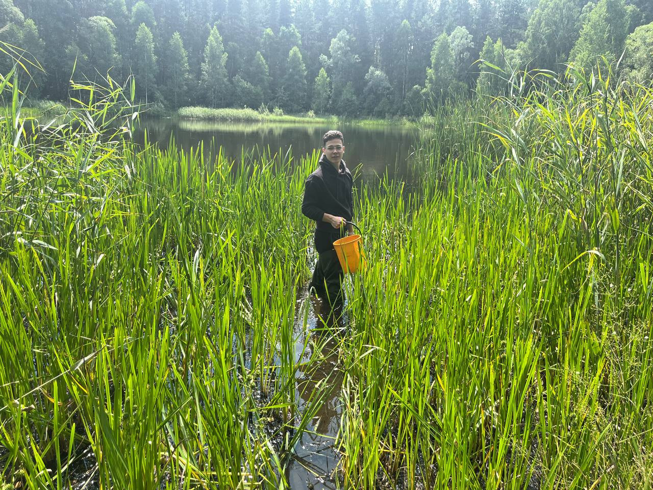 ������ � ������ ���������� �������? ,��������, ����������, ����, ���������