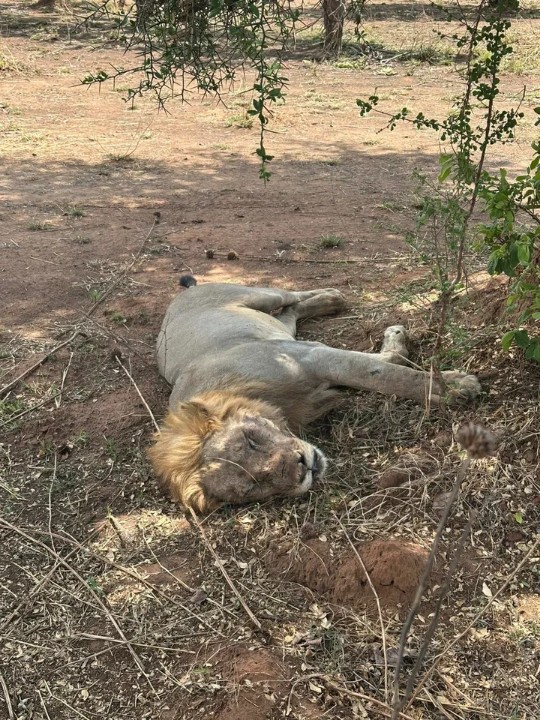 ��������� ����������� ��� ��������� �������� �������� ������ ������ �������� ���������� � ��������