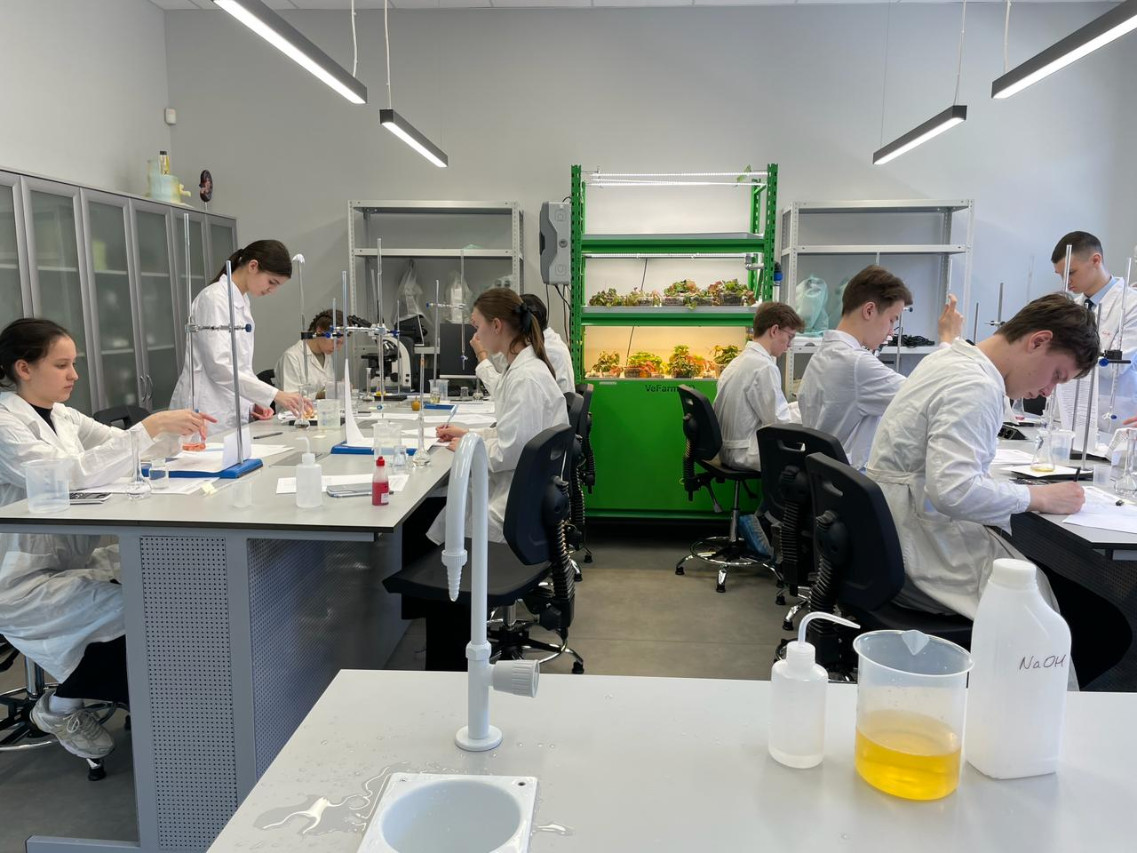 �������������� ������� ����������� ����������� � IT-������ �� ���������� ��������� �� ����� ������� ������ '���� �������'