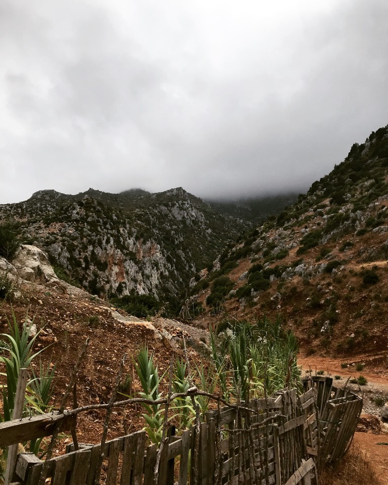 ������������� ������������ ��������� �� ��������� �����