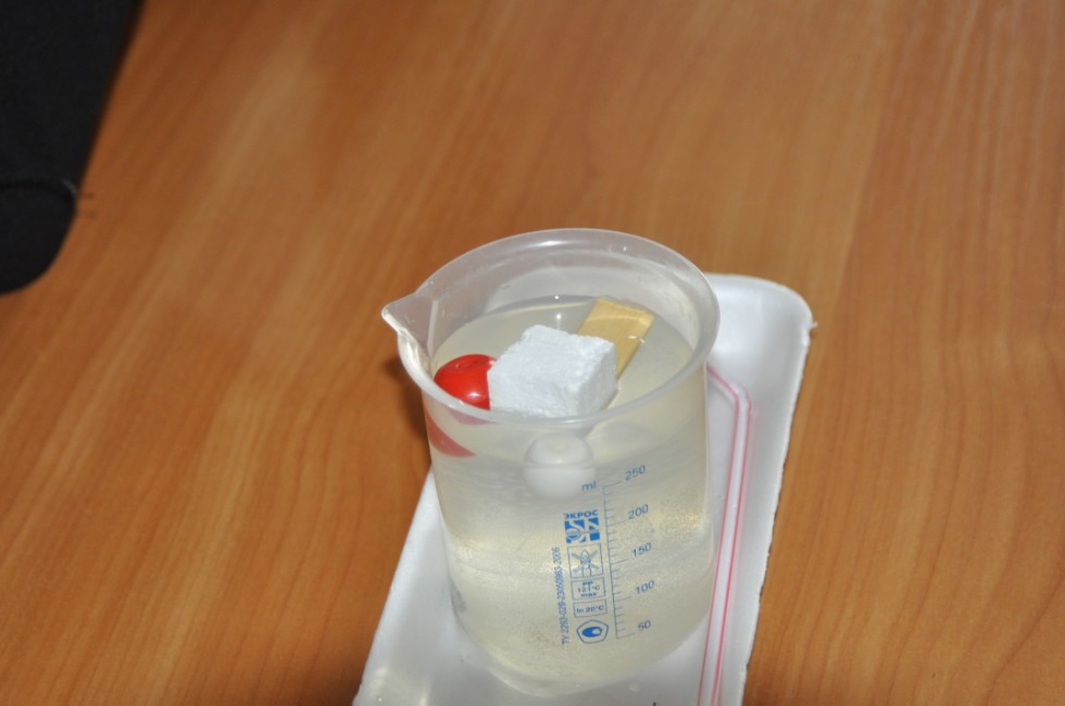 '������� �������� ���' ,�������� ����, ������