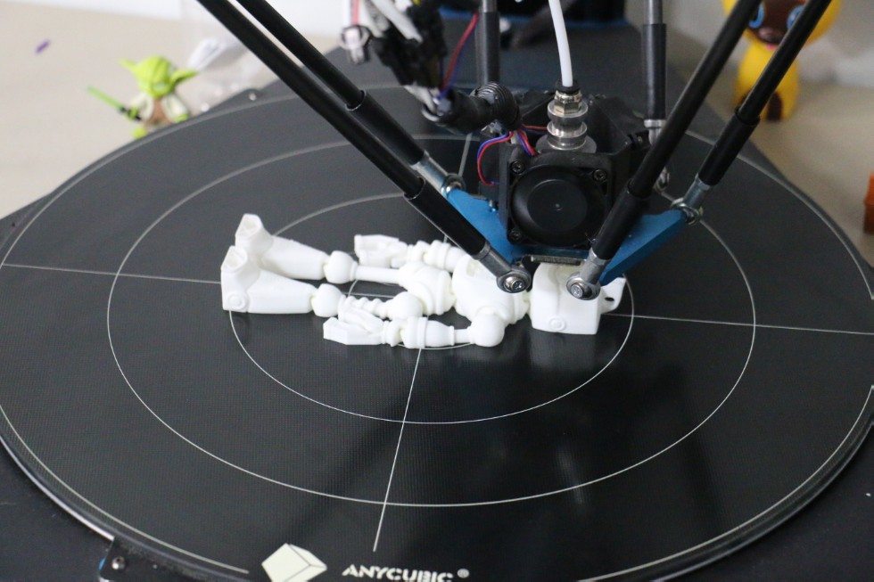 ���� �������� ������������� '������������ ���'