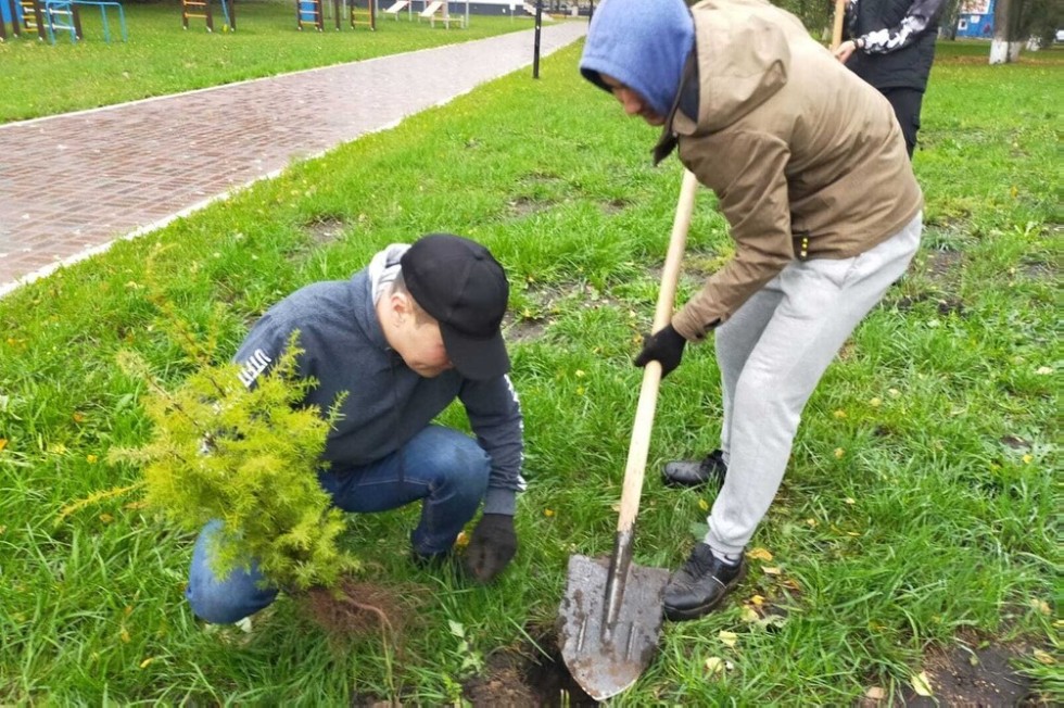 Саженцы в обмен на вторсырье Саженцы в обмен на вторсырье