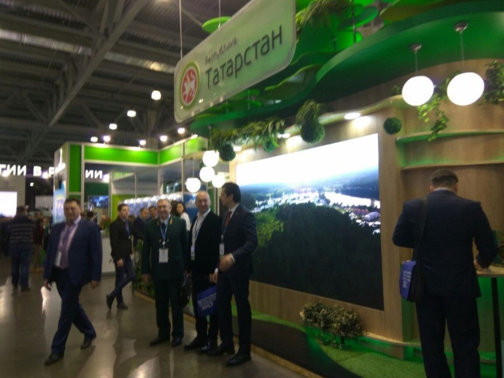 ��� - �������� II-�� ������������� �������� - ������ '������' 17' � V �������������� ������ �� ������ ���������� �����.