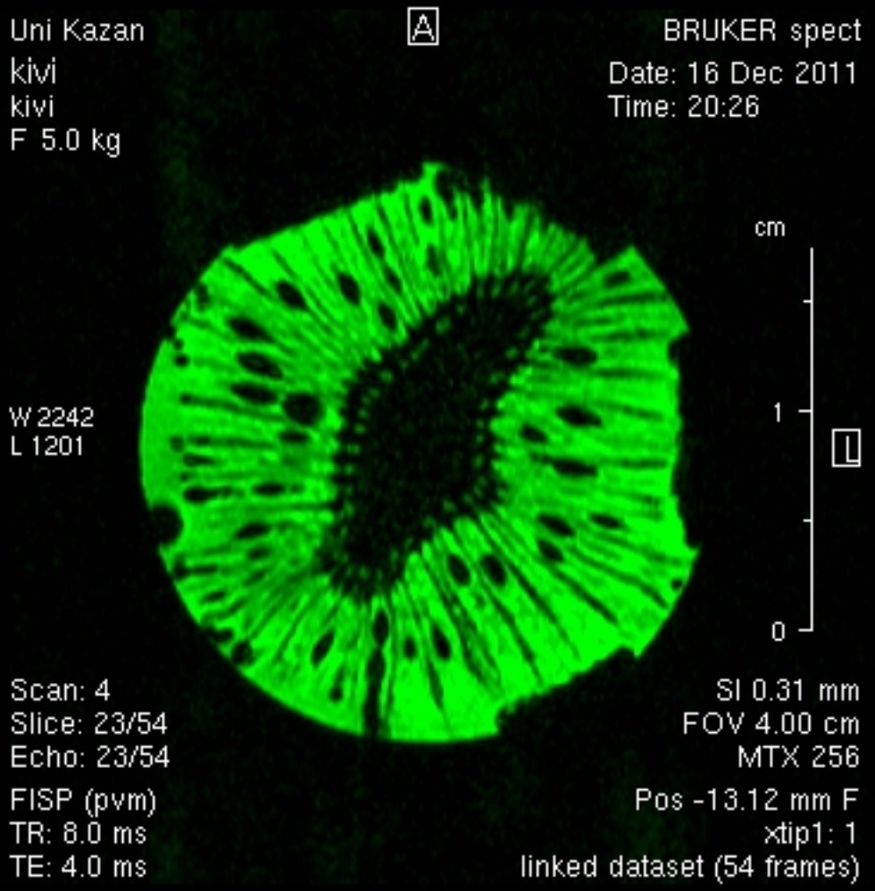 Биотехнические системы и технологии Биотехнические системы и технологии