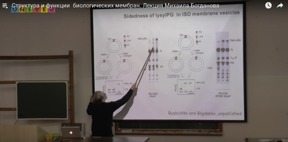 Международное сотрудничество ,международное сотрудничество