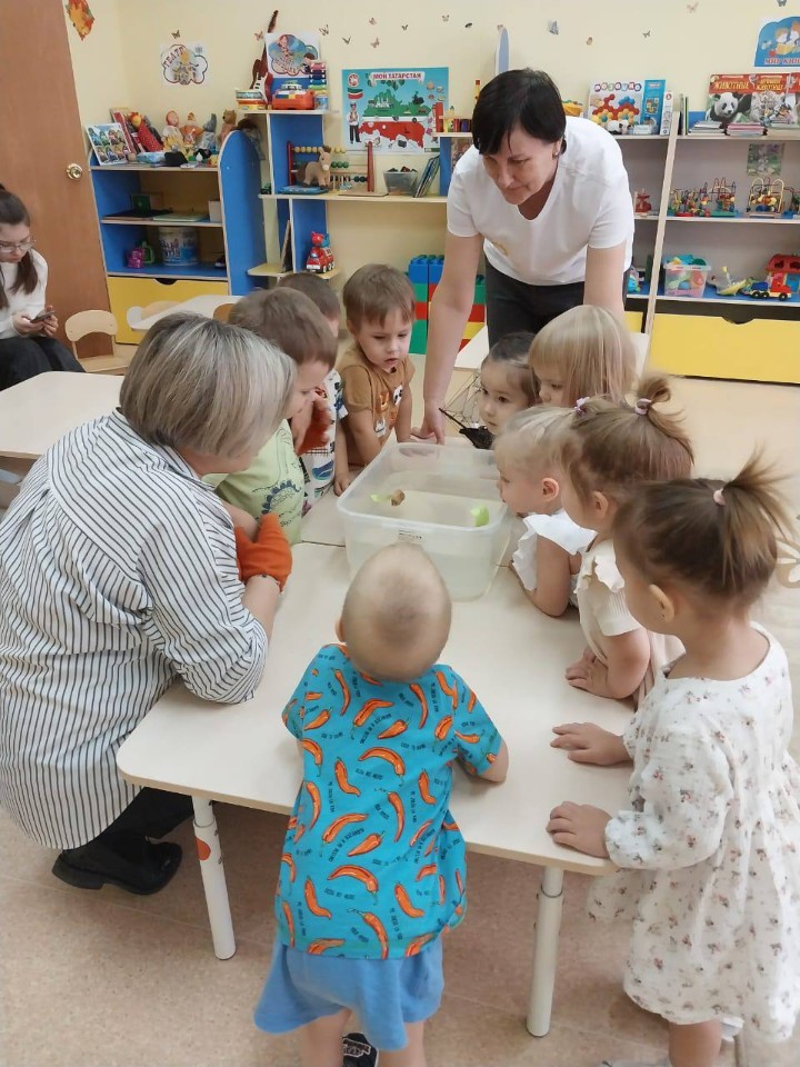 ��������� ��������� ������� ����������� ����������� � ������ ����� ������� �������� ,���������� �����������, ��������� �� ���������� ����������, ���� ������� ��������, ��������, ������� ���