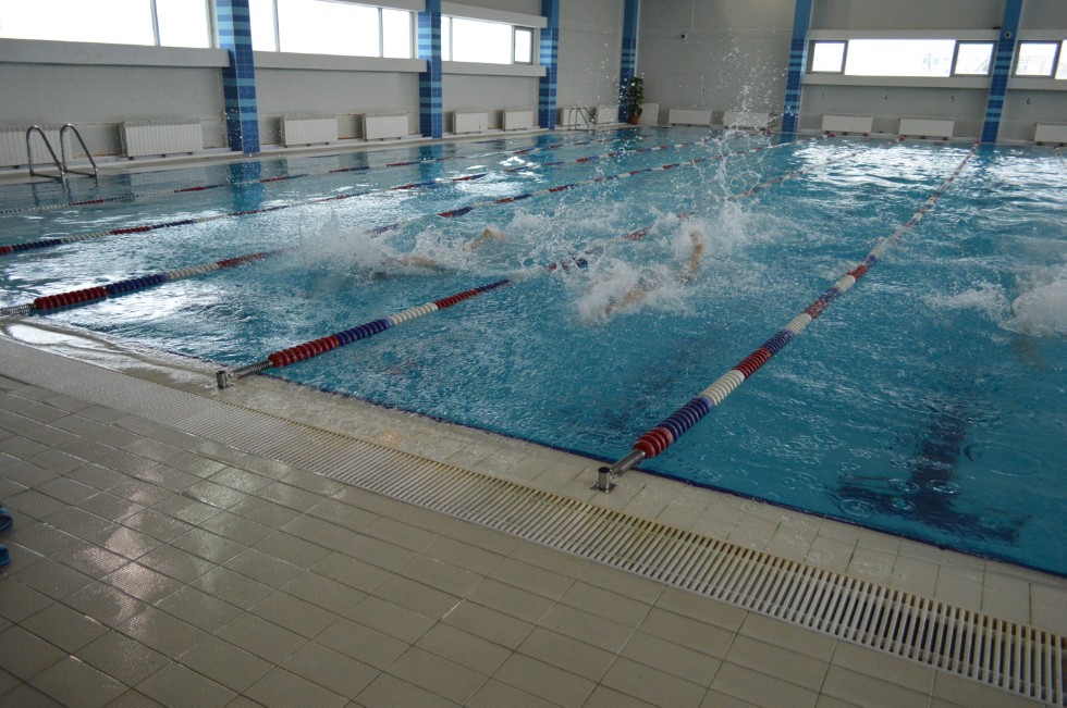 � �������� ���� - �������� ���