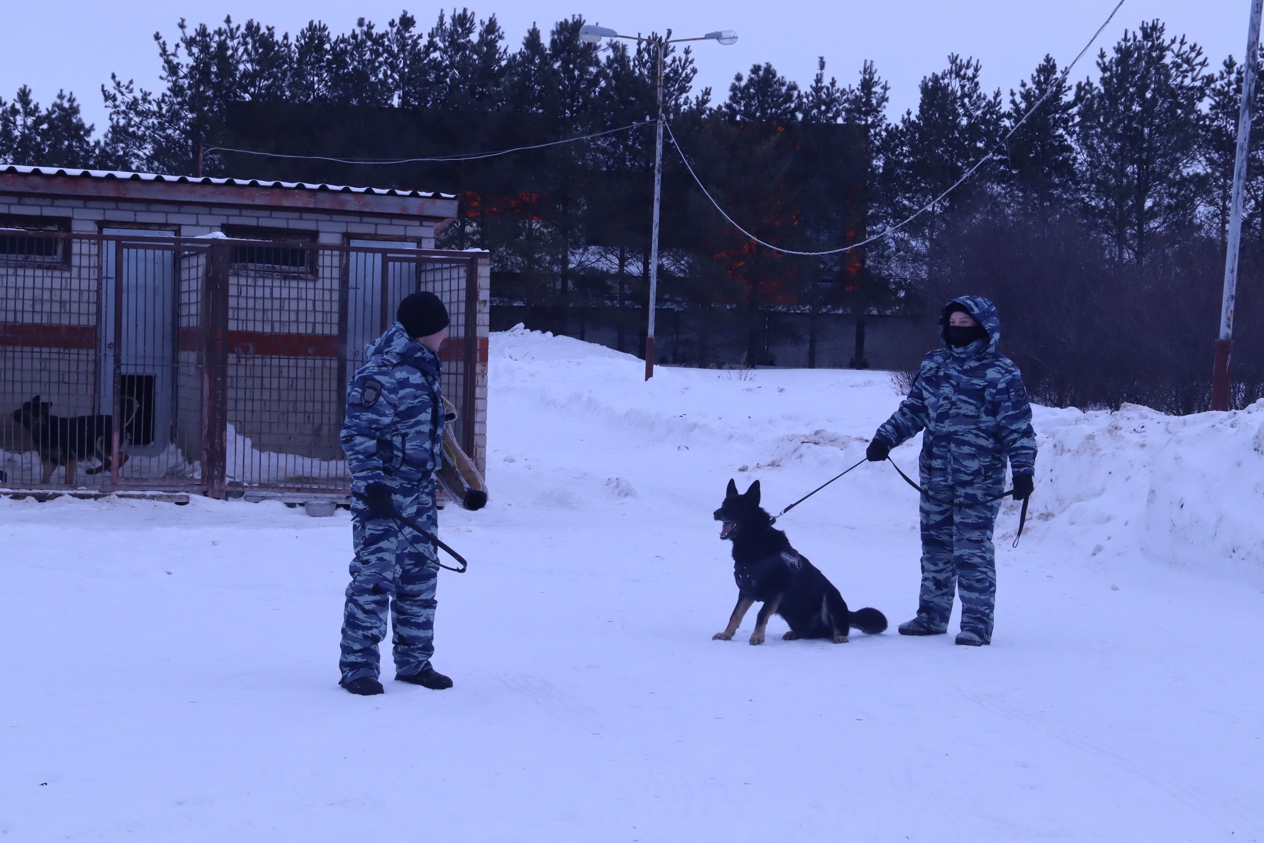 '������������ ������' �� ������� ��������� ,������������ ������, ���������