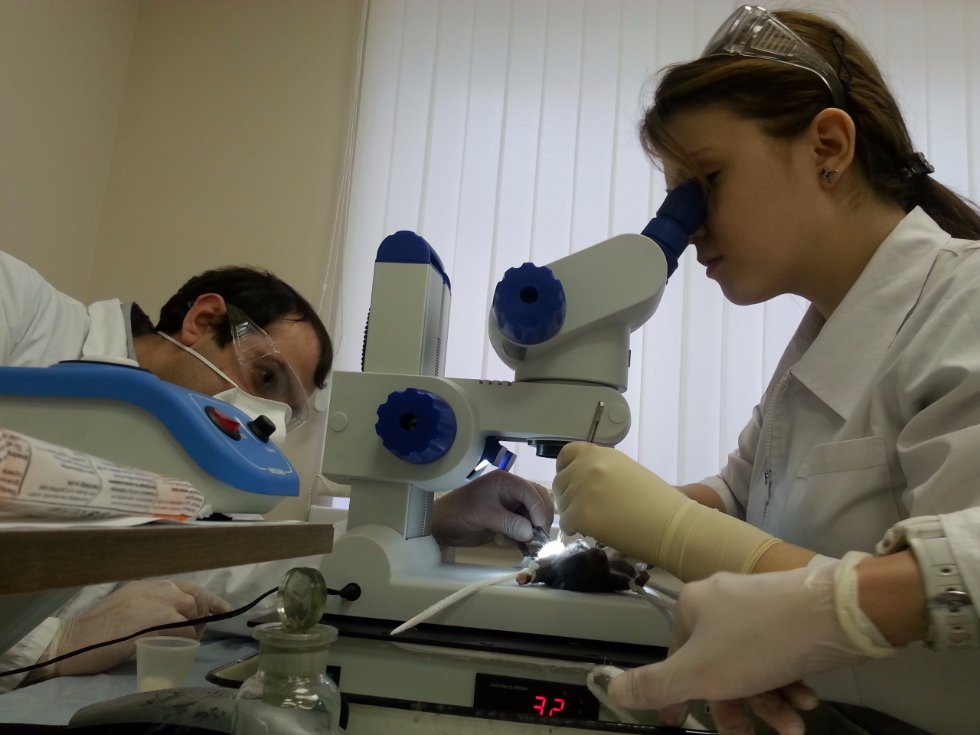 Центр Биомедицинской Микроскопии Центр Биомедицинской Микроскопии