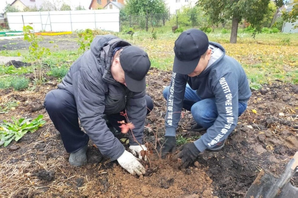 Саженцы в обмен на вторсырье Саженцы в обмен на вторсырье