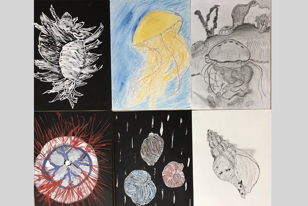 Финал уходящего года зоомузей университета отметил очередным мероприятием Финал уходящего года зоомузей университета отметил очередным мероприятием