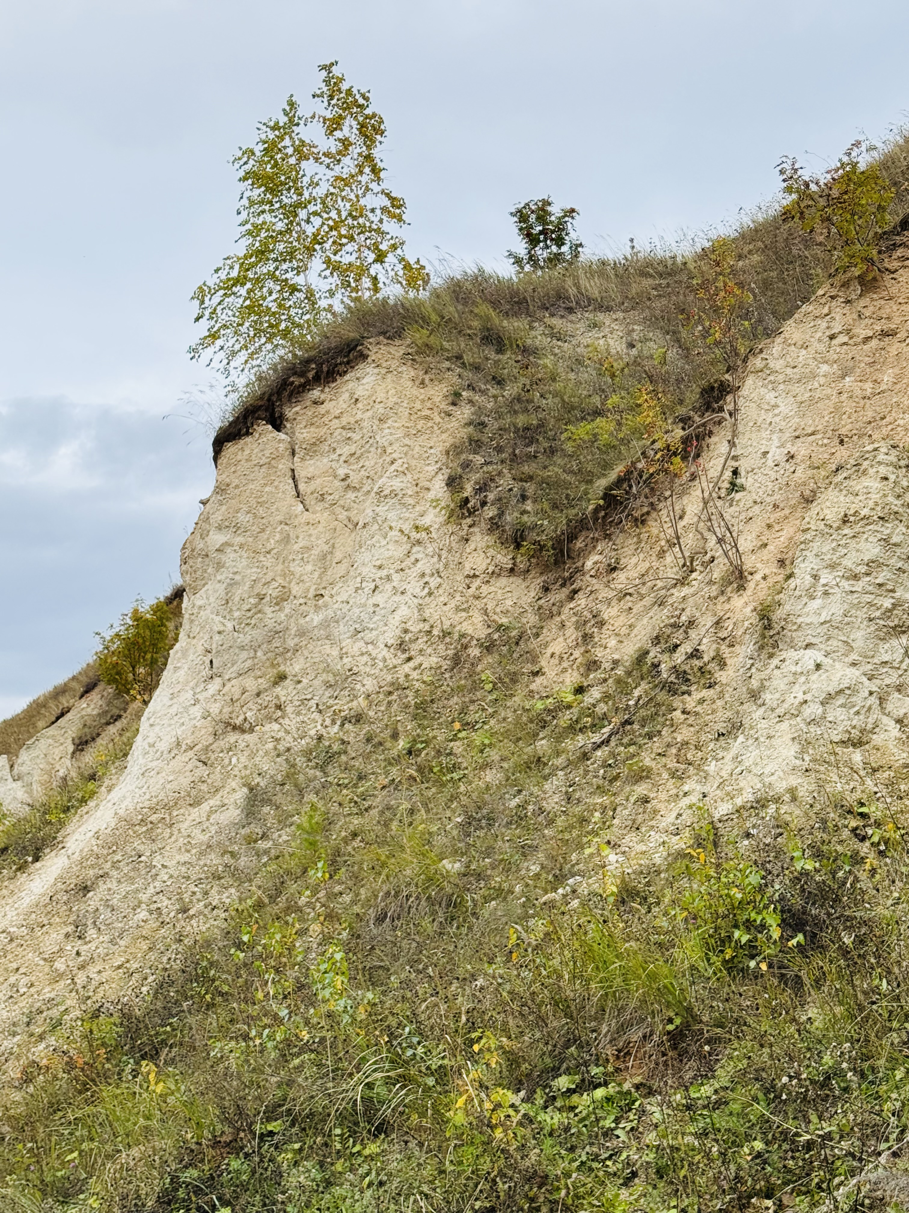 ������������� ������ ��������� ��� �������� ��������� ���������� - ������� �����